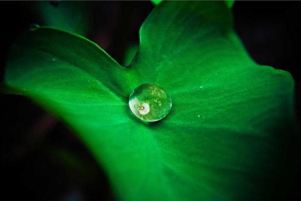 Smooth Sailing for Your Business